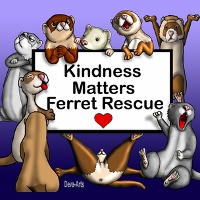 Kindness Matters Ferret Rescue